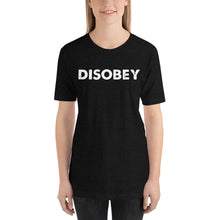 Load image into Gallery viewer, DISOBEY plain tee