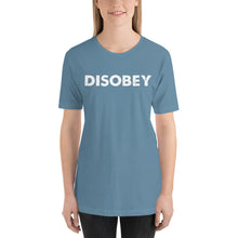 Load image into Gallery viewer, DISOBEY plain tee